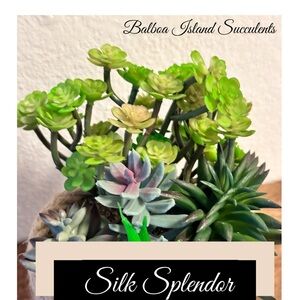 Wholesale Silk Plants (Negotiable)